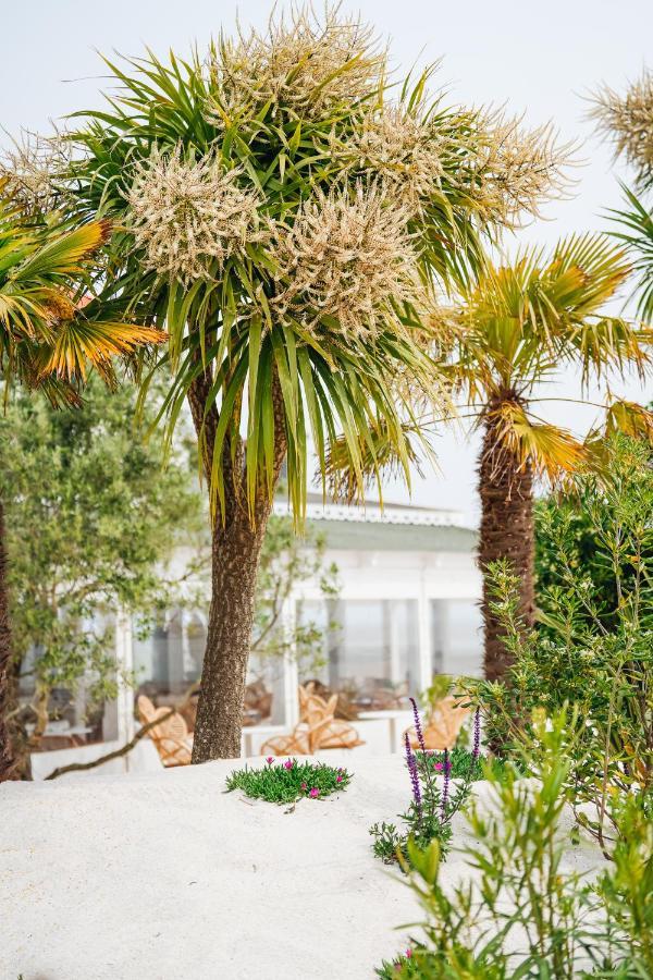 Hotel Le Noirmoutier Barbâtre Екстериор снимка